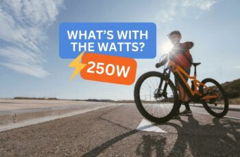 250 WATT