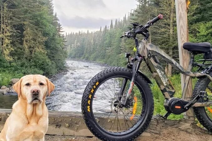 backou mule outdoor bike