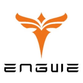 Engwe Logo