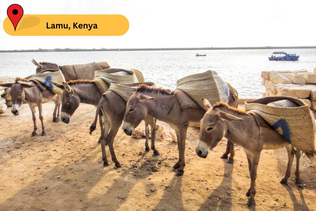 Lamu, Kenya