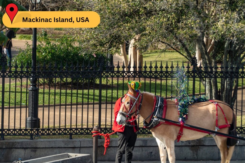 Mackinac Island, USA