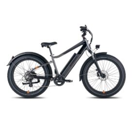 Radpower Radrover 6