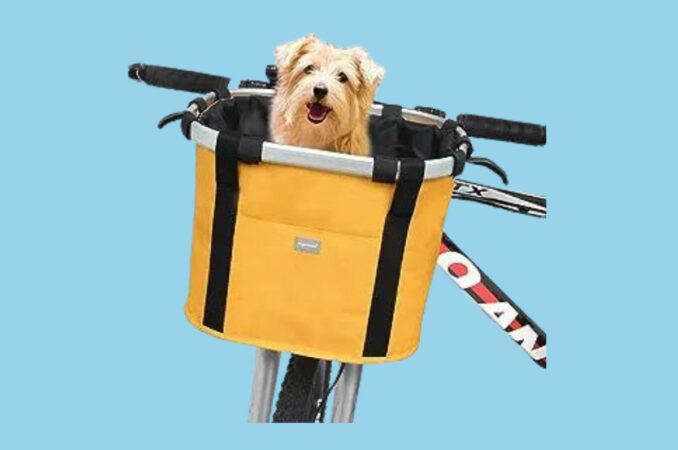 raymace bicycle basket blue