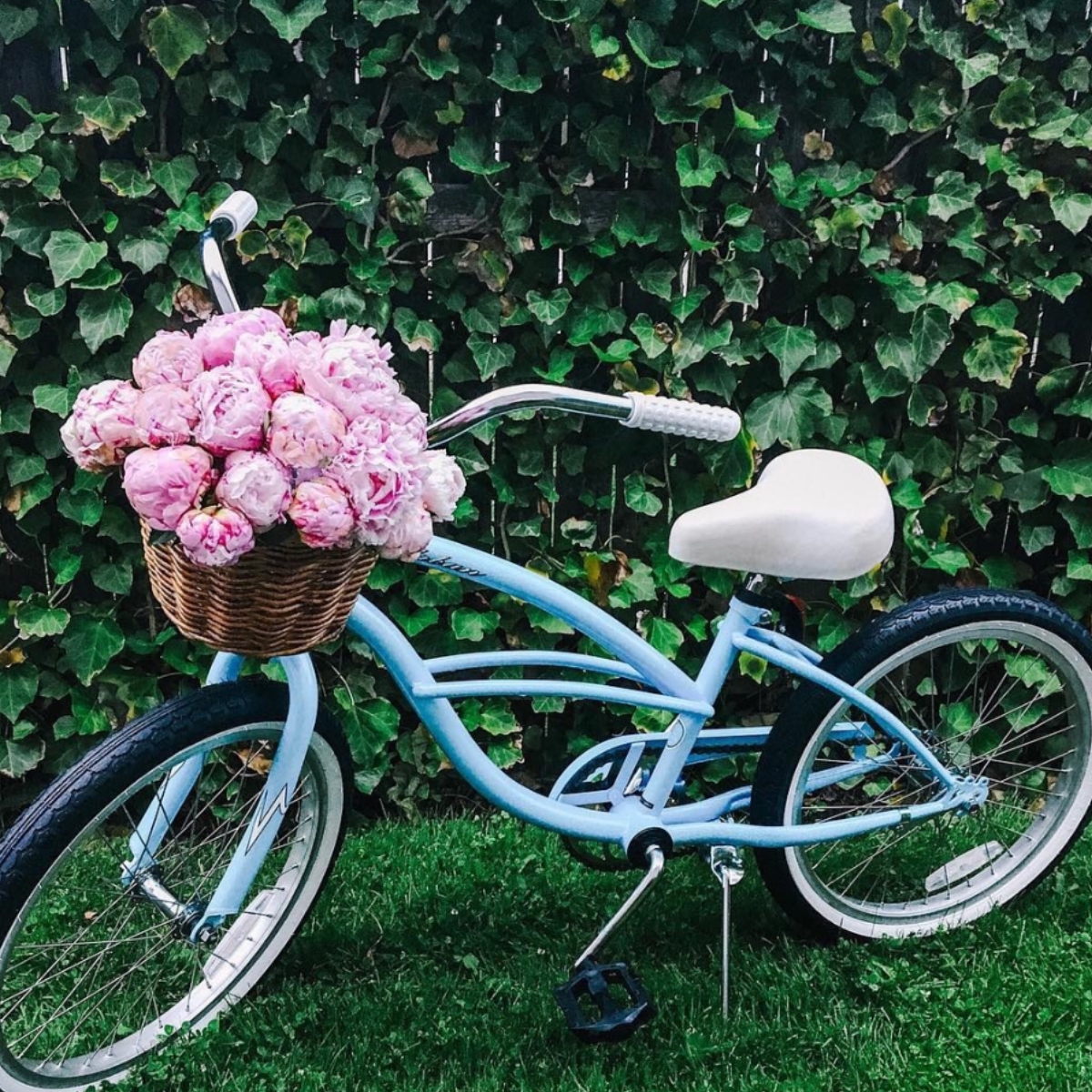 Pink poppies in a wicker bike basket on the front of a blue bicycle